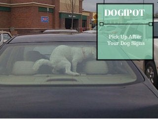 DOGIPOT 
Pick Up After 
Your Dog Signs 
 