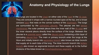 z
Anatomy and Physiology of the Lungs
 The lungs are located in the chest on either side of the heart in the rib cage.
They are conical in shape with a narrow rounded apex at the top, and a broad
concave base that rests on the convex surface of the diaphragm. The lungs
are surrounded by the pulmonary pleurae. The pleurae are two serous
membranes; the outer parietal pleura lines the inner wall of the rib cage and
the inner visceral pleura directly lines the surface of the lungs. Between the
pleurae is a potential space called the pleural cavity containing a thin layer of
lubricating pleural fluid. The main or primary bronchi enter the lungs at the
hilum and initially branch into secondary bronchi also known as lobar bronchi
that supply air to each lobe of the lung. The lobar bronchi branch into tertiary
bronchi also known as segmental bronchi and these supply air to the further
divisions of the lobes known as bronchopulmonary segments.
 
