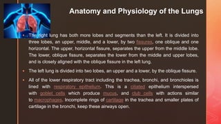 z
Anatomy and Physiology of the Lungs
 The right lung has both more lobes and segments than the left. It is divided into
three lobes, an upper, middle, and a lower, by two fissures, one oblique and one
horizontal. The upper, horizontal fissure, separates the upper from the middle lobe.
The lower, oblique fissure, separates the lower from the middle and upper lobes,
and is closely aligned with the oblique fissure in the left lung.
 The left lung is divided into two lobes, an upper and a lower, by the oblique fissure.
 All of the lower respiratory tract including the trachea, bronchi, and bronchioles is
lined with respiratory epithelium. This is a ciliated epithelium interspersed
with goblet cells which produce mucus, and club cells with actions similar
to macrophages. Incomplete rings of cartilage in the trachea and smaller plates of
cartilage in the bronchi, keep these airways open.
 