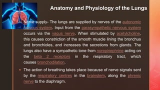 z
Anatomy and Physiology of the Lungs
 Nerve supply- The lungs are supplied by nerves of the autonomic
nervous system. Input from the parasympathetic nervous system
occurs via the vagus nerve. When stimulated by acetylcholine,
this causes constriction of the smooth muscle lining the bronchus
and bronchioles, and increases the secretions from glands. The
lungs also have a sympathetic tone from norepinephrine acting on
the beta 2 receptors in the respiratory tract, which
causes bronchodilation.
 The action of breathing takes place because of nerve signals sent
by the respiratory centres in the brainstem, along the phrenic
nerve to the diaphragm.
 