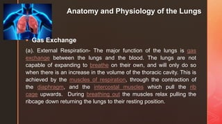 z
Anatomy and Physiology of the Lungs
 Gas Exchange
(a). External Respiration- The major function of the lungs is gas
exchange between the lungs and the blood. The lungs are not
capable of expanding to breathe on their own, and will only do so
when there is an increase in the volume of the thoracic cavity. This is
achieved by the muscles of respiration, through the contraction of
the diaphragm, and the intercostal muscles which pull the rib
cage upwards. During breathing out the muscles relax pulling the
ribcage down returning the lungs to their resting position.
 