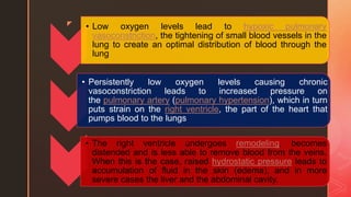 z • Low oxygen levels lead to hypoxic pulmonary
vasoconstriction, the tightening of small blood vessels in the
lung to create an optimal distribution of blood through the
lung
• Persistently low oxygen levels causing chronic
vasoconstriction leads to increased pressure on
the pulmonary artery (pulmonary hypertension), which in turn
puts strain on the right ventricle, the part of the heart that
pumps blood to the lungs
• The right ventricle undergoes remodeling, becomes
distended and is less able to remove blood from the veins.
When this is the case, raised hydrostatic pressure leads to
accumulation of fluid in the skin (edema), and in more
severe cases the liver and the abdominal cavity.
 
