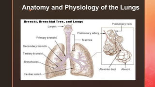 z
Anatomy and Physiology of the Lungs
 
