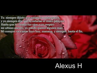 Alexus H 