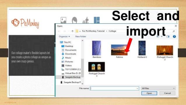 picmonkey photo editor collage