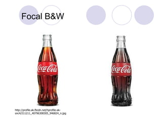 Focal B&W http://profile.ak.fbcdn.net/hprofile-ak-snc4/211211_40796308305_946824_n.jpg 