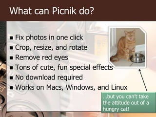 What can Picnik do?Fix photos in one clickCrop, resize, and rotateRemove red eyesTons of cute, fun special effectsNo download requiredWorks on Macs, Windows, and Linux…but you can’t take the attitude out of a hungry cat!