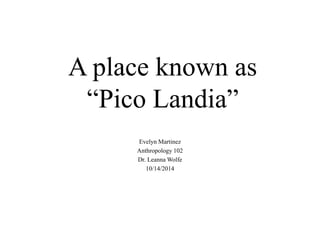 A place known as 
“Pico Landia” 
Evelyn Martinez 
Anthropology 102 
Dr. LeannaWolfe 
10/14/2014 
 