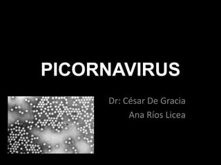 PICORNAVIRUS
     Dr: César De Gracia
          Ana Ríos Licea
 
