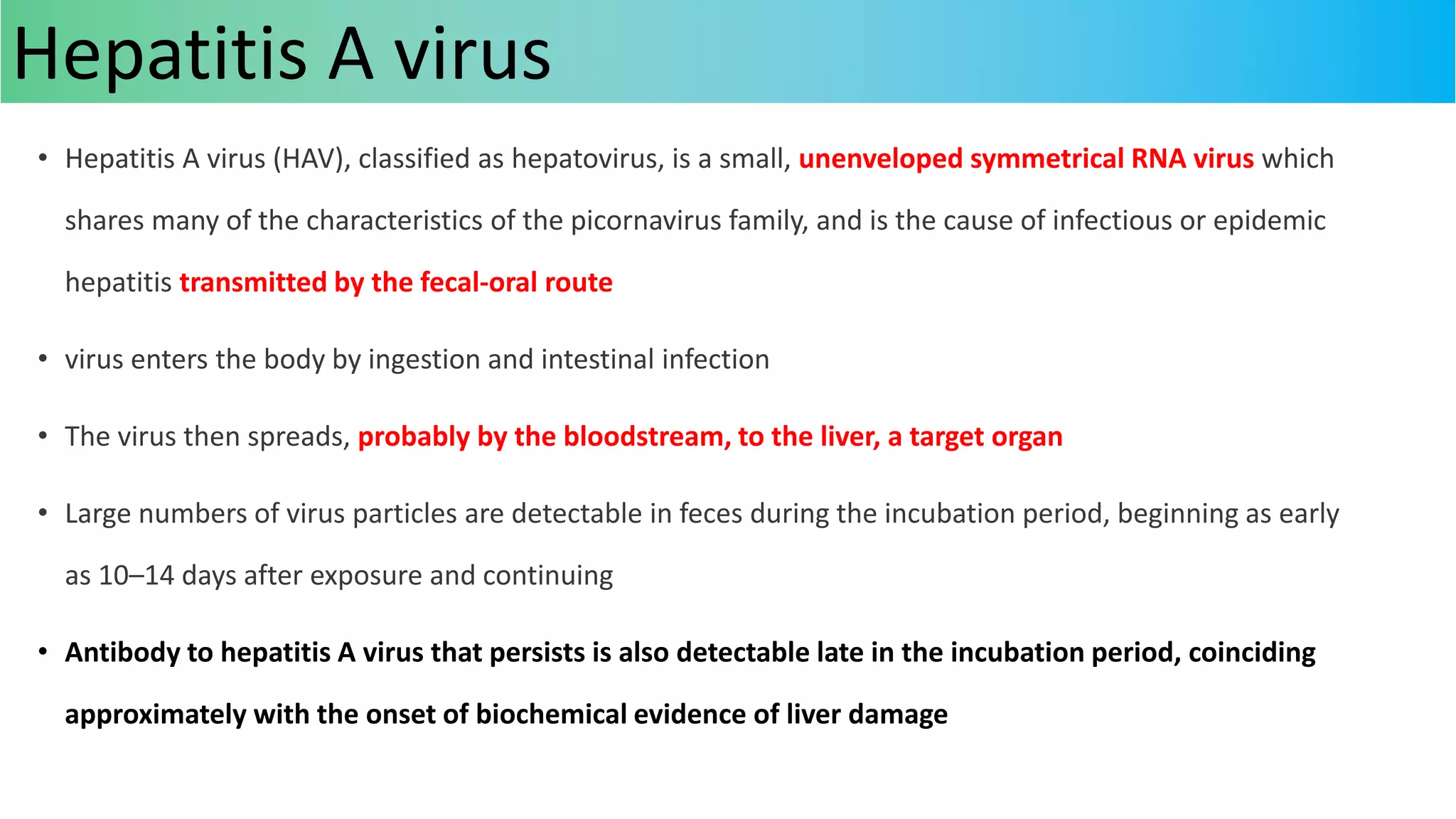• Hepatitis A virus (HAV), classified as hepatovirus, is a small, unenveloped symmetrical RNA virus which
shares many of the characteristics of the picornavirus family, and is the cause of infectious or epidemic
hepatitis transmitted by the fecal-oral route
• virus enters the body by ingestion and intestinal infection
• The virus then spreads, probably by the bloodstream, to the liver, a target organ
• Large numbers of virus particles are detectable in feces during the incubation period, beginning as early
as 10–14 days after exposure and continuing
• Antibody to hepatitis A virus that persists is also detectable late in the incubation period, coinciding
approximately with the onset of biochemical evidence of liver damage
Hepatitis A virus
 