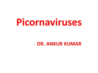 Picornaviruses
- DR. ANKUR KUMAR
 