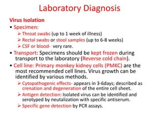 Laboratory Diagnosis
Virus Isolation
• Specimen:
Throat swabs (up to 1 week of illness)
Rectal swabs or stool samples (up to 6-8 weeks)
CSF or blood- very rare.
• Transport: Specimens should be kept frozen during
transport to the laboratory (Reverse cold chain).
• Cell line: Primary monkey kidney cells (PMKC) are the
most recommended cell lines. Virus growth can be
identified by various methods.
Cytopathogenic effects- appears in 3-6days; described as
crenation and degeneration of the entire cell sheet.
Antigen detection: Isolated virus can be identified and
serotyped by neutalization with specific antiserum.
Specific gene detection by PCR assays.
 