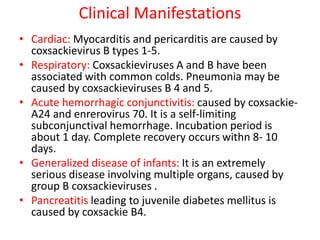 Clinical Manifestations
• Cardiac: Myocarditis and pericarditis are caused by
coxsackievirus B types 1-5.
• Respiratory: Coxsackieviruses A and B have been
associated with common colds. Pneumonia may be
caused by coxsackieviruses B 4 and 5.
• Acute hemorrhagic conjunctivitis: caused by coxsackie-
A24 and enrerovirus 70. It is a self-limiting
subconjunctival hemorrhage. Incubation period is
about 1 day. Complete recovery occurs withn 8- 10
days.
• Generalized disease of infants: It is an extremely
serious disease involving multiple organs, caused by
group B coxsackieviruses .
• Pancreatitis leading to juvenile diabetes mellitus is
caused by coxsackie B4.
 