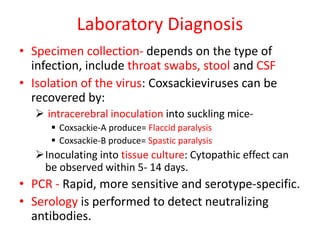 Laboratory Diagnosis
• Specimen collection- depends on the type of
infection, include throat swabs, stool and CSF
• Isolation of the virus: Coxsackieviruses can be
recovered by:
 intracerebral inoculation into suckling mice-
 Coxsackie-A produce= Flaccid paralysis
 Coxsackie-B produce= Spastic paralysis
Inoculating into tissue culture: Cytopathic effect can
be observed within 5- 14 days.
• PCR - Rapid, more sensitive and serotype-specific.
• Serology is performed to detect neutralizing
antibodies.
 