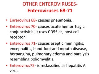 OTHER ENTEROVIRUSES-
Enteroviruses 68-71
• Enrerovirus 68- causes pneumonia.
• Enterovirus 70- causes acute hemorrhagic
conjunctivitis. It uses CD55 as, host cell
receptor.
• Enterovirus 71- causes aseptic meningitis,
encephalitis, hand-foot and mouth disease,
herpangina, pulmonary edema and paralysis
resembling poliomyelitis.
• Enterovirus72- is reclassified as hepatitis A
virus.
 