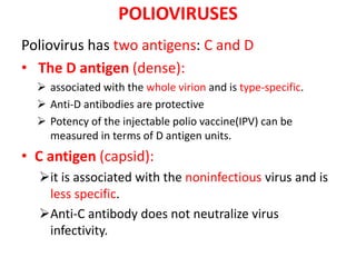Poliovirus has two antigens: C and D
• The D antigen (dense):
 associated with the whole virion and is type-specific.
 Anti-D antibodies are protective
 Potency of the injectable polio vaccine(IPV) can be
measured in terms of D antigen units.
• C antigen (capsid):
it is associated with the noninfectious virus and is
less specific.
Anti-C antibody does not neutralize virus
infectivity.
POLIOVIRUSES
 