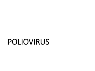 POLIOVIRUS
 