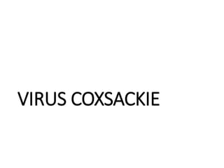 VIRUS COXSACKIE
 
