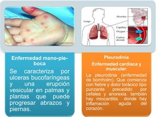 Enfermedad mano-pie-
boca
Se caracteriza por
ulceras bucofaríngeas
y una erupción
vesicular en palmas y
plantas que puede
progresar abrazos y
piernas.
Pleurodinia
Enfermedad cardiaca y
muscular:
La pleurodinia (enfermedad
de bornholm). Que comienza
con fiebre y dolor torácico tipo
punzante precedido por
cefalea y anorexia. también
donde hay
aguda del
hay miocarditis
inflamación
corazón.
 