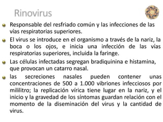 Responsable del resfriado común y las infecciones de las
vías respiratorias superiores.
El virus se introduce en el organismo a través de la nariz, la
boca o los ojos, e inicia una infección de las vías
respiratorias superiores, incluida la faringe.
Las células infectadas segregan bradiquinina e histamina,
que provocan un catarro nasal.
las secreciones nasales pueden contener unas
concentraciones de 500 a 1.000 vibriones infecciosos por
mililitro; la replicación vírica tiene lugar en la nariz, y el
inicio y la gravedad de los síntomas guardan relación con el
momento de la diseminación del virus y la cantidad de
virus.
 