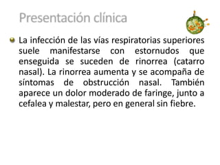 La infección de las vías respiratorias superiores
suele manifestarse con estornudos que
enseguida se suceden de rinorrea (catarro
nasal). La rinorrea aumenta y se acompaña de
síntomas de obstrucción nasal. También
aparece un dolor moderado de faringe, junto a
cefalea y malestar, pero en general sin fiebre.
 