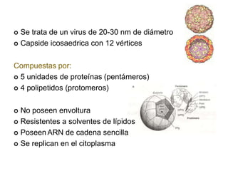  Se trata de un virus de 20-30 nm de diámetro
 Capside icosaedrica con 12 vértices
Compuestas por:
 5 unidades de proteínas (pentámeros)
 4 polipetidos (protomeros)
 No poseen envoltura
 Resistentes a solventes de lípidos
 Poseen ARN de cadena sencilla
 Se replican en el citoplasma
 