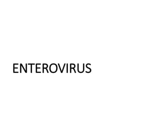 ENTEROVIRUS
 