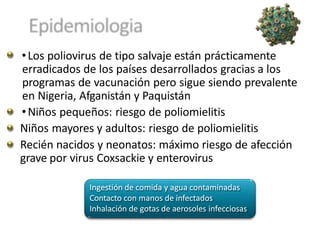 •Los poliovirus de tipo salvaje están prácticamente
erradicados de los países desarrollados gracias a los
programas de vacunación pero sigue siendo prevalente
en Nigeria, Afganistán y Paquistán
•Niños pequeños: riesgo de poliomielitis
Niños mayores y adultos: riesgo de poliomielitis
Recién nacidos y neonatos: máximo riesgo de afección
grave por virus Coxsackie y enterovirus
Ingestión de comida y agua contaminadas
Contacto con manos de infectados
Inhalación de gotas de aerosoles infecciosas
 