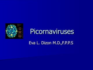 Picornaviruses Eva L. Dizon M.D.,F.P.P.S 