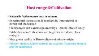 Host range&Cultivation
• Natural infection occurs only in humans
• Experimental transmission in monkeys by intracerebral or
intraspinal inoculation
• Chimpanzees and Cynomolgus monkeys – can be infected orally
• Established non-fresh strains can be grown in rodents, chick
embryos
• Virus grows readily in Tissue cultures of primate origin
• Primary Monkey Kidney cultures are used for Diagnostic purpose
and for Vaccination
 