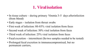 1. Viralisolation
• In tissue culture – during primary Viremia 3-5 days afterinfection
(from blood)
• Early stages – isolation from throat swabs
• First week of infection: 80-85% viral isolation from feces
• Second week of infection: 50% viral isolation from feces
• Third week of infection: 25% viral isolation from feces
• Fecal excretion – intermittent (So two samples needed to be tested)
• Prolonged fecal excretion in immunocompromised, but no
permanent carriers,
 