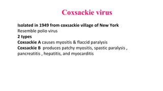 Coxsackie virus
Isolated in 1949 from coxsackie village of New York
Resemble polio virus
2 types
Coxsackie A causes myositis & flaccid paralysis
Coxsackie B produces patchy myositis, spastic paralysis ,
pancreatitis , hepatitis, and myocarditis
 