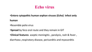 Echo virus
•Entero cytopathic human orphan viruses (Echo) infect only
human
•Resemble polio virus
•Spread by feco oral route and they remain in GIT
•Clinical features aseptic meningitis , paralysis, rash & fever ,
diarrhoea ,respiratory disease, pericarditis and myocarditis
 