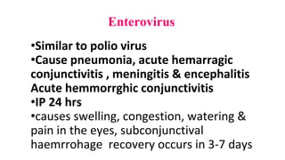 Enterovirus
•Similar to polio virus
•Cause pneumonia, acute hemarragic
conjunctivitis , meningitis & encephalitis
Acute hemmorrghic conjunctivitis
•IP 24 hrs
•causes swelling, congestion, watering &
pain in the eyes, subconjunctival
haemrrohage recovery occurs in 3-7 days
 