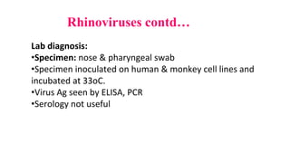 Rhinoviruses contd…
Lab diagnosis:
•Specimen: nose & pharyngeal swab
•Specimen inoculated on human & monkey cell lines and
incubated at 33oC.
•Virus Ag seen by ELISA, PCR
•Serology not useful
 