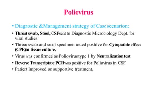 Poliovirus
• Diagnostic &Management strategy of Case scenarion:
• Throat swab, Stool, CSFsent to Diagnostic Microbiology Dept. for
viral studies
• Throat swab and stool specimen tested positive for Cytopathic effect
(CPE)in tissueculture.
• Virus was confirmed as Poliovirus type 1 by Neutralizationtest
• ReverseTranscriptase PCRwas positive for Poliovirus in CSF
• Patient improved on supportive treatment.
 