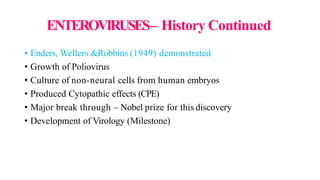 ENTEROVIRUSES– History Continued
• Enders, Wellers &Robbins (1949) demonstrated
• Growth of Poliovirus
• Culture of non-neural cells from human embryos
• Produced Cytopathic effects (CPE)
• Major break through – Nobel prize for this discovery
• Development of Virology (Milestone)
 