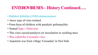 ENTEROVIRUSES– History Continued….
• Dalldorf &Sickles (1948) demonstration:
• Anew type of virus isolated
• From feces of children with paralytic poliomyelitis
• Named Type 1 Poliovirus
• This virus caused paralysis on inoculation in suckling mice
• Was called the Coxsackie virus
• Aspatient was from village ‘Coxsackie’in NewYork
 