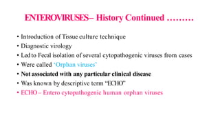 ENTEROVIRUSES– History Continued ………
• Introduction of Tissue culture technique
• Diagnostic virology
• Led to Fecal isolation of several cytopathogenic viruses from cases
• Were called ‘Orphan viruses’
• Not associated with any particular clinical disease
• Was known by descriptive term “ECHO”
• ECHO– Entero cytopathogenic human orphan viruses
 
