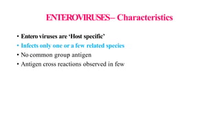 ENTEROVIRUSES– Characteristics
• Entero viruses are ‘Host specific’
• Infects only one or a few related species
• No common group antigen
• Antigen cross reactions observed in few
 