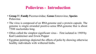 Poliovirus - Introduction
• Group IV;FamilyPicornaviridae; Genus Enterovirus; Species
Poliovirus
• The virus is composed of an RNAgenome and a protein capsule. The
genome is single-stranded positive-sense RNA genome that is about
7500 nucleotides long.
• Often called the simplest significant virus - First isolated in 1909by
Karl Landsteiner and Erwin Popper
• Egyptian paintings depicted the effects of polio by showing otherwise
healthy individuals with withered limbs.
 