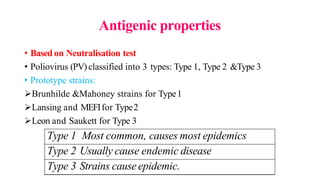 Antigenic properties
• Based on Neutralisation test
• Poliovirus (PV)classified into 3 types: Type 1, Type 2 &Type 3
• Prototype strains:
Brunhilde &Mahoney strains for Type1
Lansing and MEFIfor Type2
Leon and Saukett for Type 3
Type 1 Most common, causes most epidemics
Type 2 Usually cause endemic disease
Type 3 Strains causeepidemic.
 