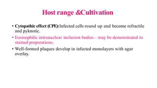 Host range &Cultivation
• Cytopathic effect (CPE):Infected cells round up and become refractile
and pyknotic.
• Eosinophilic intranuclear inclusion bodies – may be demonstrated in
stained preparations.
• Well-formed plaques develop in infected monolayers with agar
overlay.
 