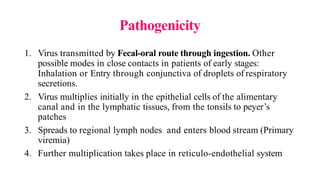 Pathogenicity
1. Virus transmitted by Fecal-oral route through ingestion. Other
possible modes in close contacts in patients of early stages:
Inhalation or Entry through conjunctiva of droplets of respiratory
secretions.
2. Virus multiplies initially in the epithelial cells of the alimentary
canal and in the lymphatic tissues, from the tonsils to peyer’s
patches
3. Spreads to regional lymph nodes and enters blood stream (Primary
viremia)
4. Further multiplication takes place in reticulo-endothelial system
 