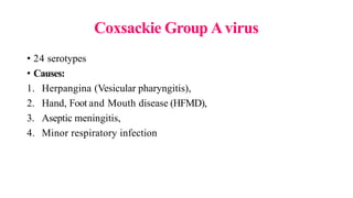 Coxsackie Group Avirus
• 24 serotypes
• Causes:
1. Herpangina (Vesicular pharyngitis),
2. Hand, Foot and Mouth disease (HFMD),
3. Aseptic meningitis,
4. Minor respiratory infection
 