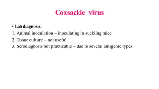 Coxsackie virus
• Labdiagnosis:
1. Animal inoculation – inoculating in suckling mice
2. Tissue culture – not useful
3. Serodiagnosis not practicable – due to several antigenic types
 