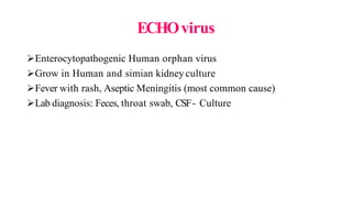 ECHOvirus
Enterocytopathogenic Human orphan virus
Grow in Human and simian kidney culture
Fever with rash, Aseptic Meningitis (most common cause)
Lab diagnosis: Feces, throat swab, CSF- Culture
 