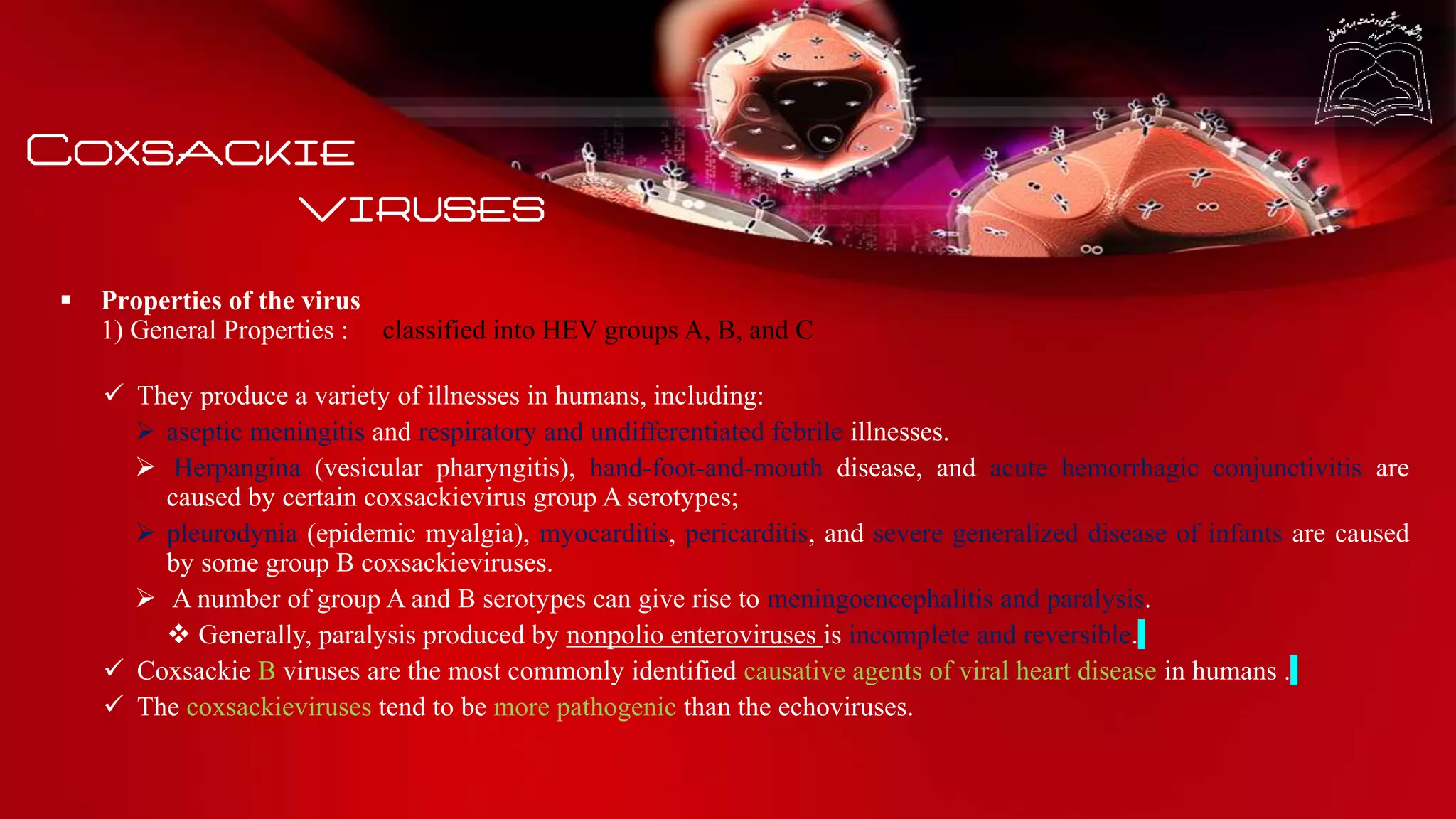 Coxsackie
viruses
 Properties of the virus
1) General Properties : classified into HEV groups A, B, and C
 They produce a variety of illnesses in humans, including:
 aseptic meningitis and respiratory and undifferentiated febrile illnesses.
 Herpangina (vesicular pharyngitis), hand-foot-and-mouth disease, and acute hemorrhagic conjunctivitis are
caused by certain coxsackievirus group A serotypes;
 pleurodynia (epidemic myalgia), myocarditis, pericarditis, and severe generalized disease of infants are caused
by some group B coxsackieviruses.
 A number of group A and B serotypes can give rise to meningoencephalitis and paralysis.
 Generally, paralysis produced by nonpolio enteroviruses is incomplete and reversible.
 Coxsackie B viruses are the most commonly identified causative agents of viral heart disease in humans .
 The coxsackieviruses tend to be more pathogenic than the echoviruses.
 