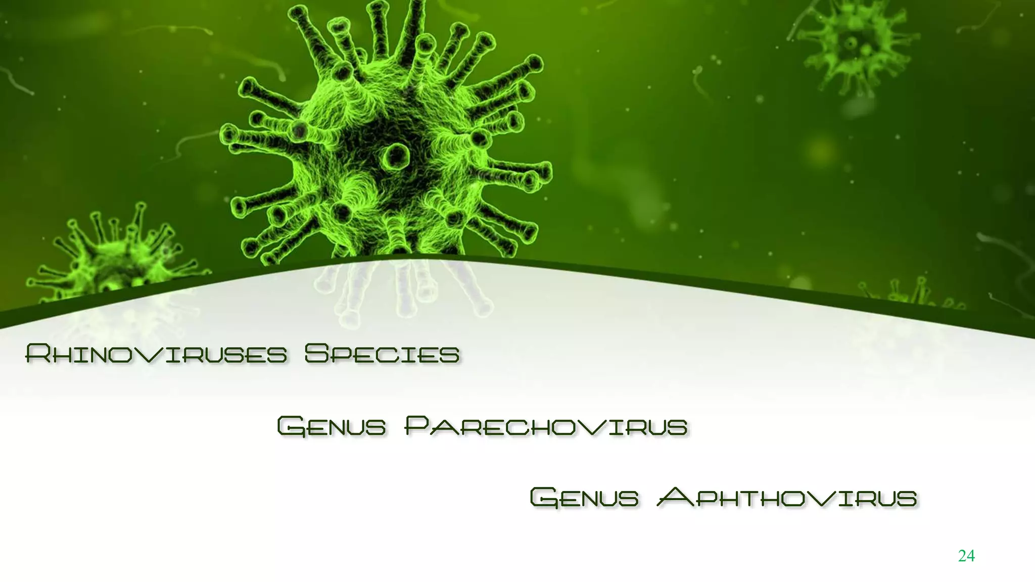 Rhinoviruses Species
Genus Parechovirus
Genus Aphthovirus
24
 