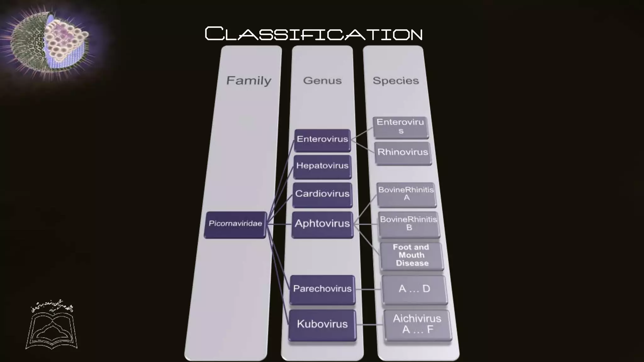 Classification
 